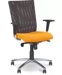 Ergonominė kėdė EVOLIUTION R