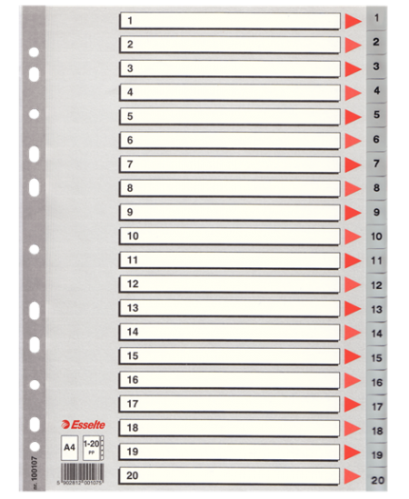 Vahelehted plastist ESSELTE, 1-20, ühevärvilised, A4