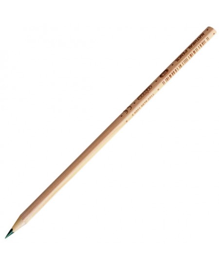 Natūralios medienos pieštukas CRICCO, padrožtas, HB