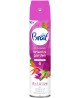 Õhuvärskendaja BRAIT Oriental Garden, 300 ml