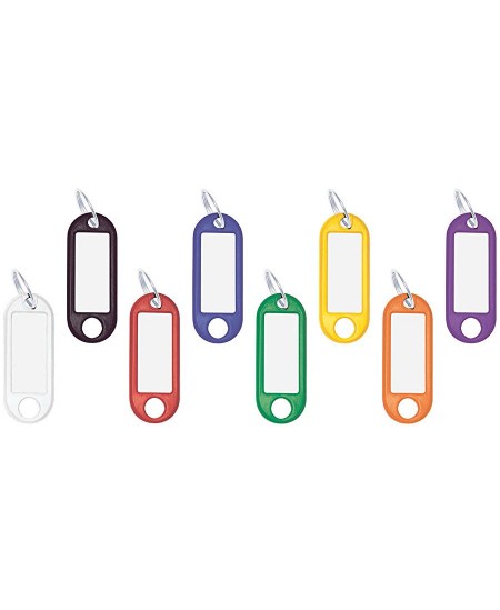 Plastikinis pakabukas raktams WEDO su žiedeliu, įvairių spalvų, 100 vnt