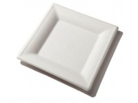 Ekologiškos kvadratinės lėkštės, iš cukranendrių, 16x16 cm, baltos