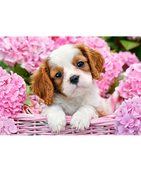 Pusle CASTORLAND Pup in Pink Flowers, 500 osa