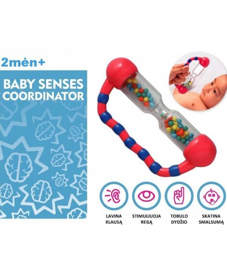 Silmade jälgimisoskust arendav kõrin BRAIN BUILDERS Kõrin