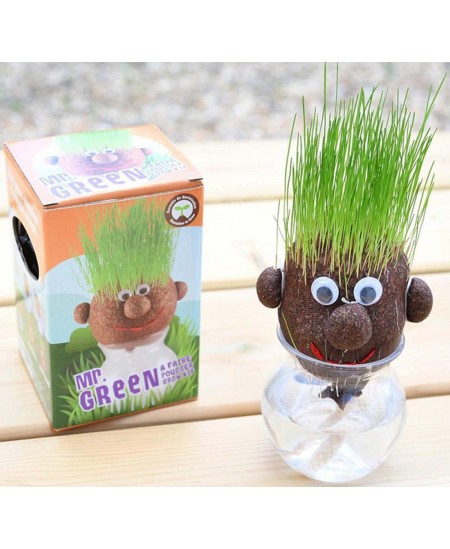 Idandamiskomplekt RADIS et CAPUCINE Mr. Green Murupea