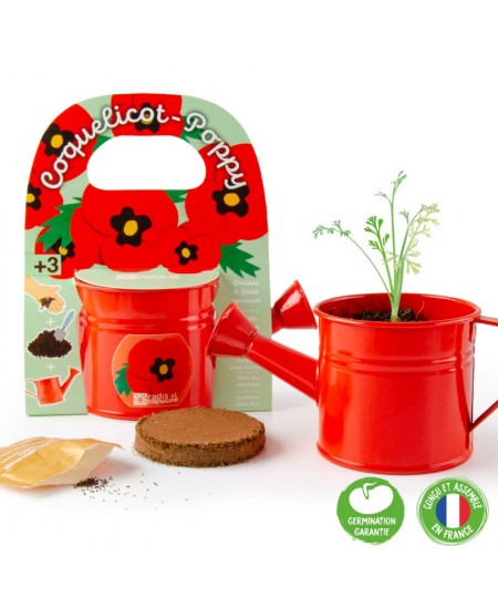 Kastmiskomplekt kastekannus RADIS et CAPUCINE Punane moon