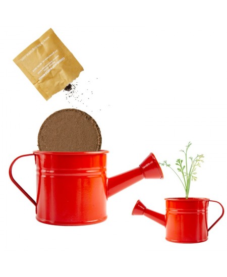 Kastmiskomplekt kastekannus RADIS et CAPUCINE Punane moon