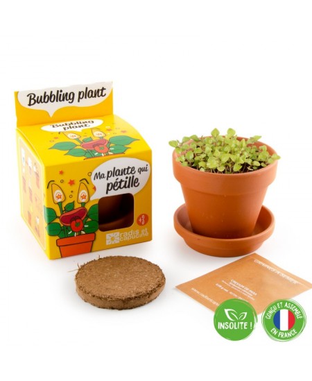 Mullitava taime kasvatamise komplekt RADIS et CAPUCINE