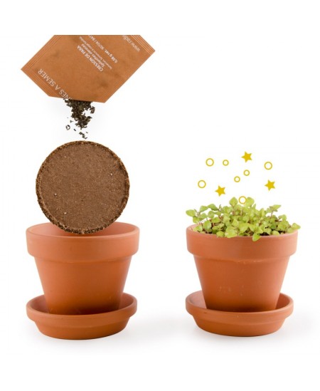 Mullitava taime kasvatamise komplekt RADIS et CAPUCINE