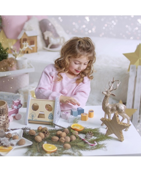 Puidust sorteerimis- ja varustusmäng VIGA PolarB