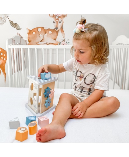 Puidust sorteerimis- ja varustusmäng VIGA PolarB