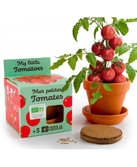 Kasvatuskomplekt lastele RADIS et CAPUCINE Mahedad kirsstomatid
