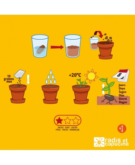 Kasvatuskomplekt lastele RADIS et CAPUCINE Mahedad kirsstomatid