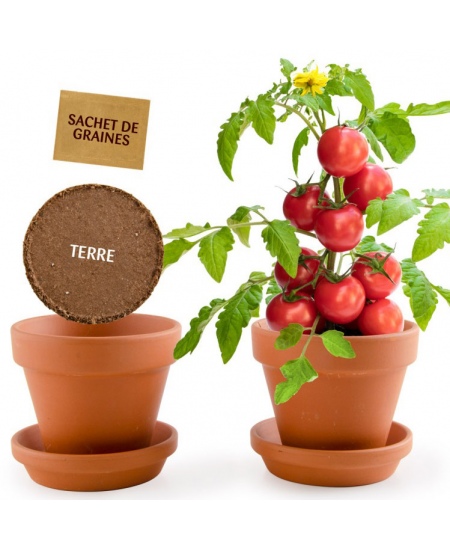 Kasvatuskomplekt lastele RADIS et CAPUCINE Mahedad kirsstomatid