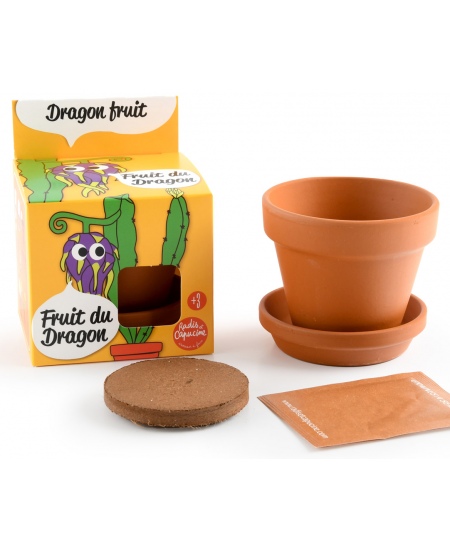 Kasvatuskomplekt lastele RADIS et CAPUCINE Draakonivili