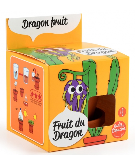 Kasvatuskomplekt lastele RADIS et CAPUCINE Draakonivili