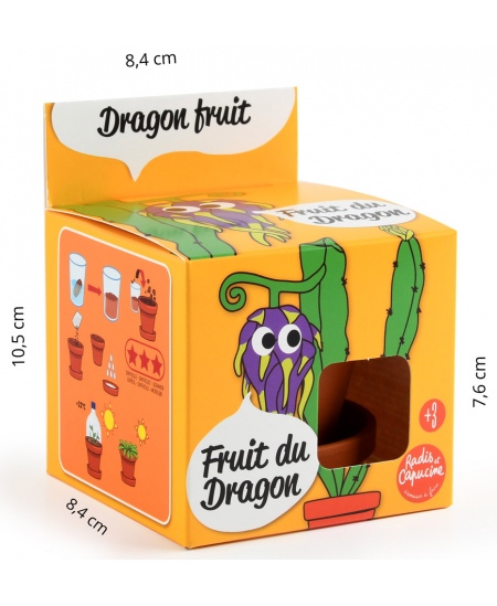 Kasvatuskomplekt lastele RADIS et CAPUCINE Draakonivili