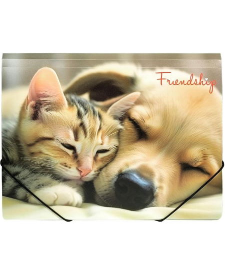 Kummiga mapp PANTA PLAST Friendship, plastikust, A4