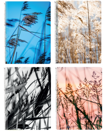 Ruuduline vihik BRADLEY Valhalla, A4, spiraaliga, 80 lehte, 70 gms