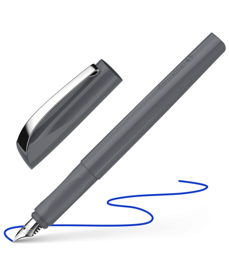 Täitesulepea SCHNEIDER Ceod Colour, hall korpus