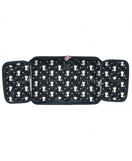 Pinal PASO Cat, lai, üheosaline