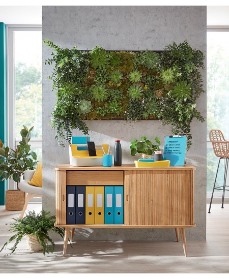 Auguraud LEITZ COSY, 30 lehte, hall