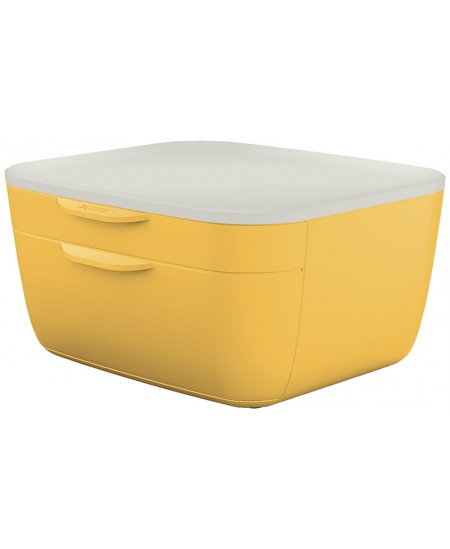 Sahtlitega hoiukarp LEITZ COSY, kollane.