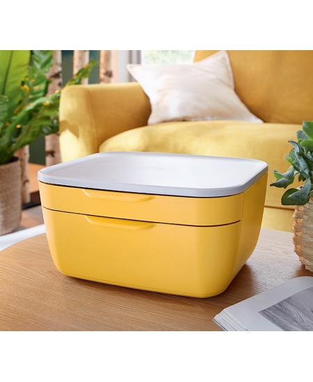 Sahtlitega hoiukarp LEITZ COSY, kollane.