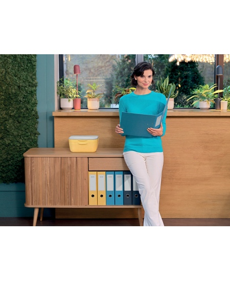 Sahtlitega hoiukarp LEITZ COSY, kollane.