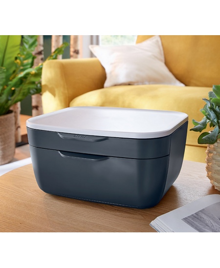 Sahtlitega hoiukarp LEITZ COSY, hall.