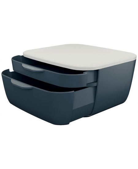 Sahtlitega hoiukarp LEITZ COSY, hall.