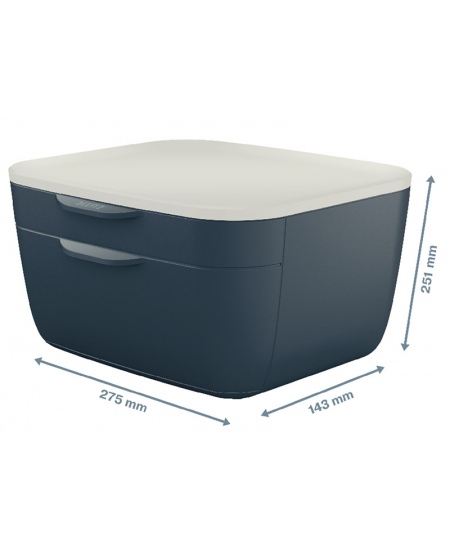 Sahtlitega hoiukarp LEITZ COSY, hall.