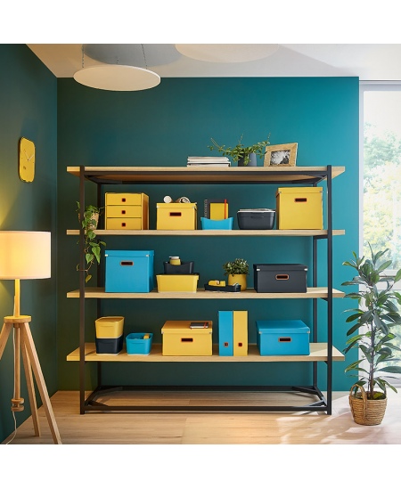 Sahtlitega hoiukarp LEITZ COSY, hall.