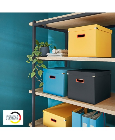 Hoiukarp LEITZ COSY Cube L, helesinine.