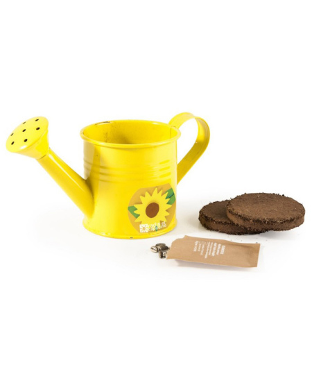 Kasvatuskomplekt kastekannuga RADIS et CAPUCINE Päevalill