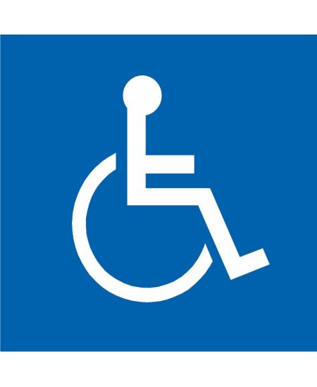 Kleebis PUUETEGA INIMESE AUTO ERALDUSMÄRGIS