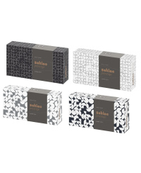 Kosmetinės servetėlės WEPA PRESTIGE, 100 vnt.