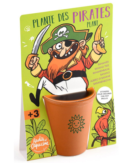 Banaanipuu kasvatamise komplekt RADIS et CAPUCINE Piraat