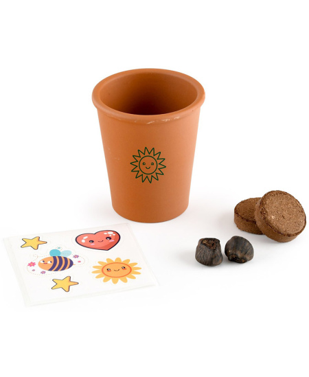 Banaanipuu kasvatamise komplekt RADIS et CAPUCINE Piraat