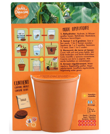 Banaanipuu kasvatamise komplekt RADIS et CAPUCINE Piraat