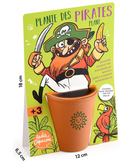 Banaanipuu kasvatamise komplekt RADIS et CAPUCINE Piraat