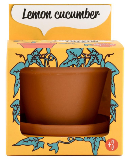 Kasvatuskomplekt lastele RADIS ET CAPUCINE Sidrunikurk