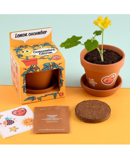 Kasvatuskomplekt lastele RADIS ET CAPUCINE Sidrunikurk