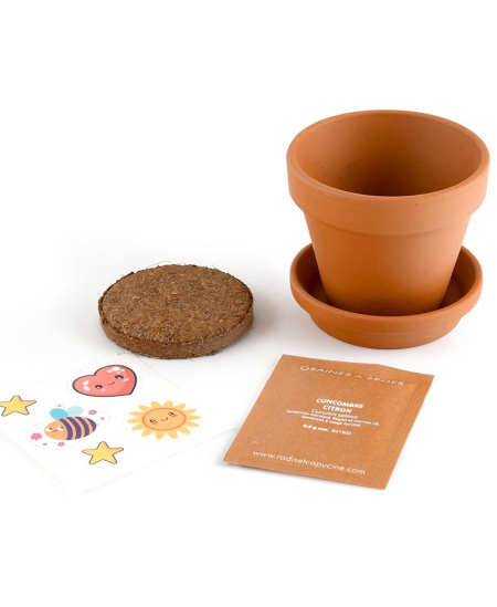 Kasvatuskomplekt lastele RADIS ET CAPUCINE Sidrunikurk