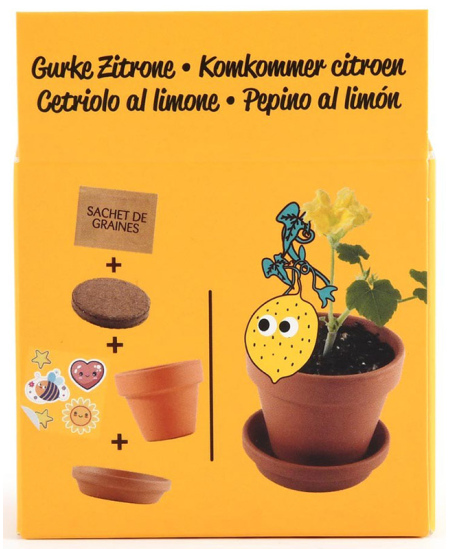 Kasvatuskomplekt lastele RADIS ET CAPUCINE Sidrunikurk