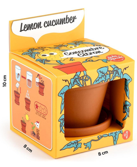 Kasvatuskomplekt lastele RADIS ET CAPUCINE Sidrunikurk