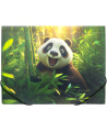 Kummiga vahekaust PANTA PLAST Panda, plastikust, A4