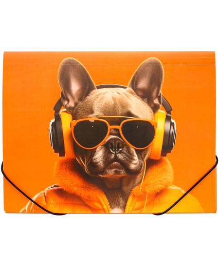 Kummiga vahekaust PANTA PLAST Cool Dog, plastikust, A4
