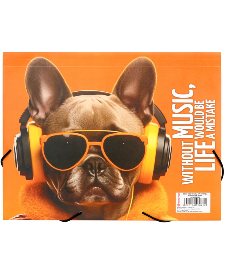 Kummiga vahekaust PANTA PLAST Cool Dog, plastikust, A4