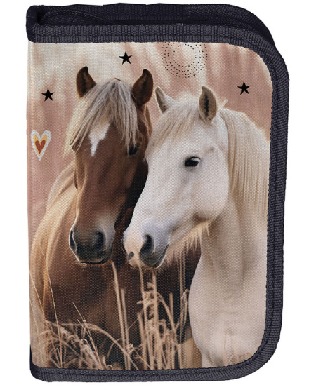 Pinal PASO Horses, lai, ühe osaga